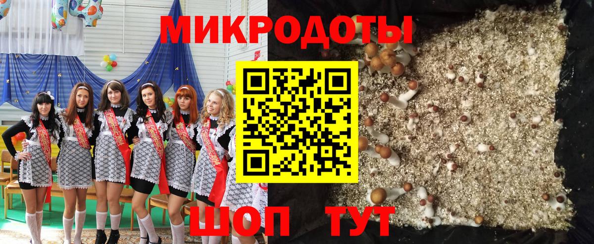 Галлюциногенные грибы GOLDEN TEACHER Узловая